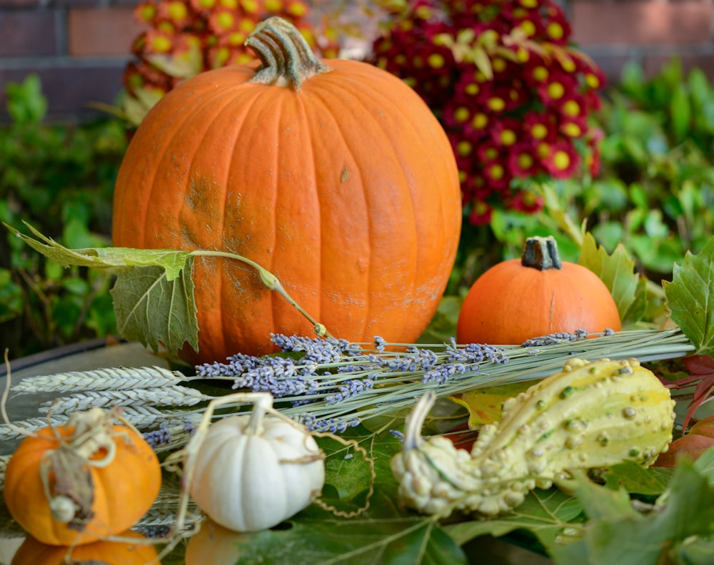 a table topped with lots of different types of pumpkins