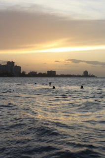 Evening workshop session with swimmers silhouetted against a black backdrop and neon highlights