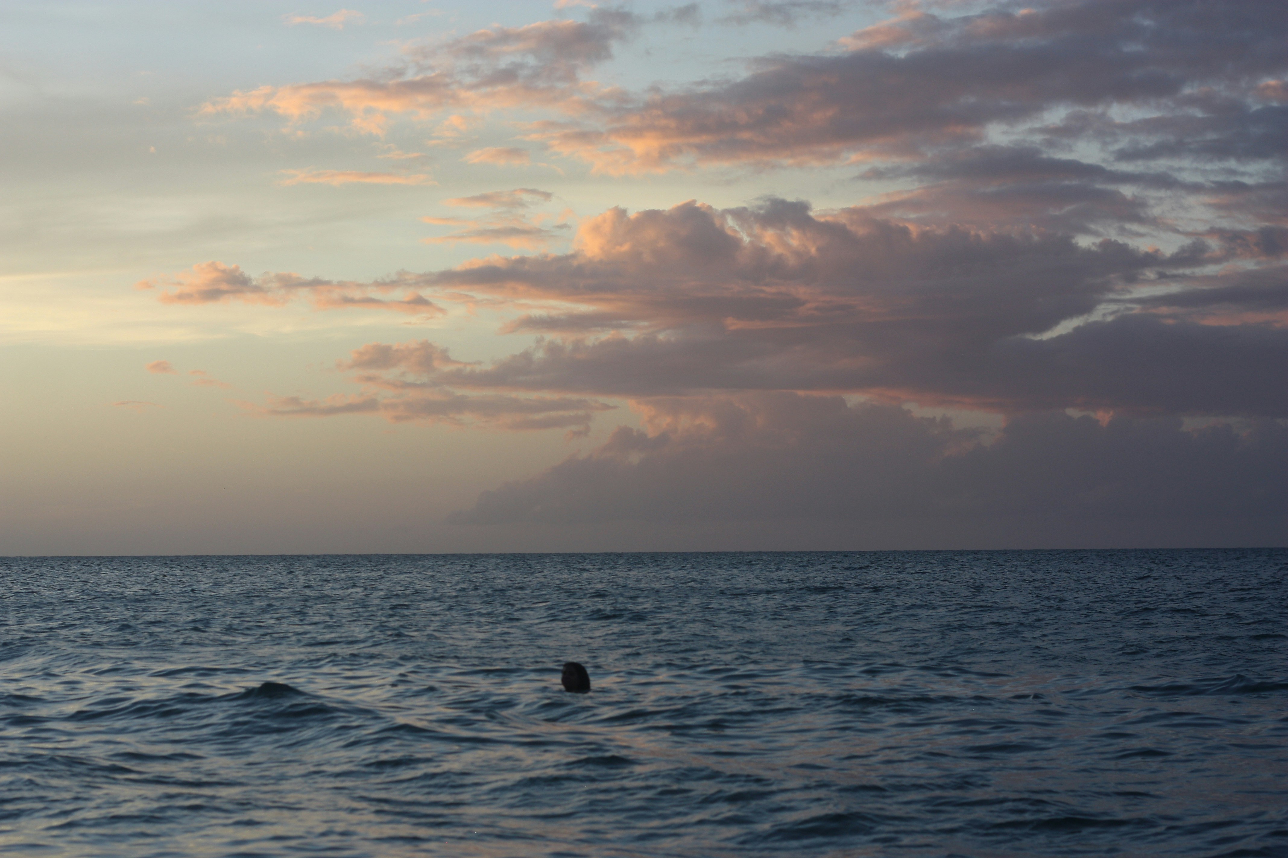 Photo by etiennejanylah