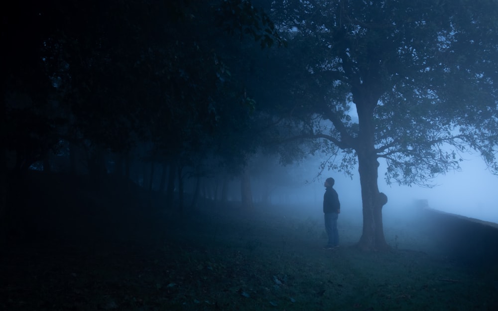 a person standing in the fog in a park