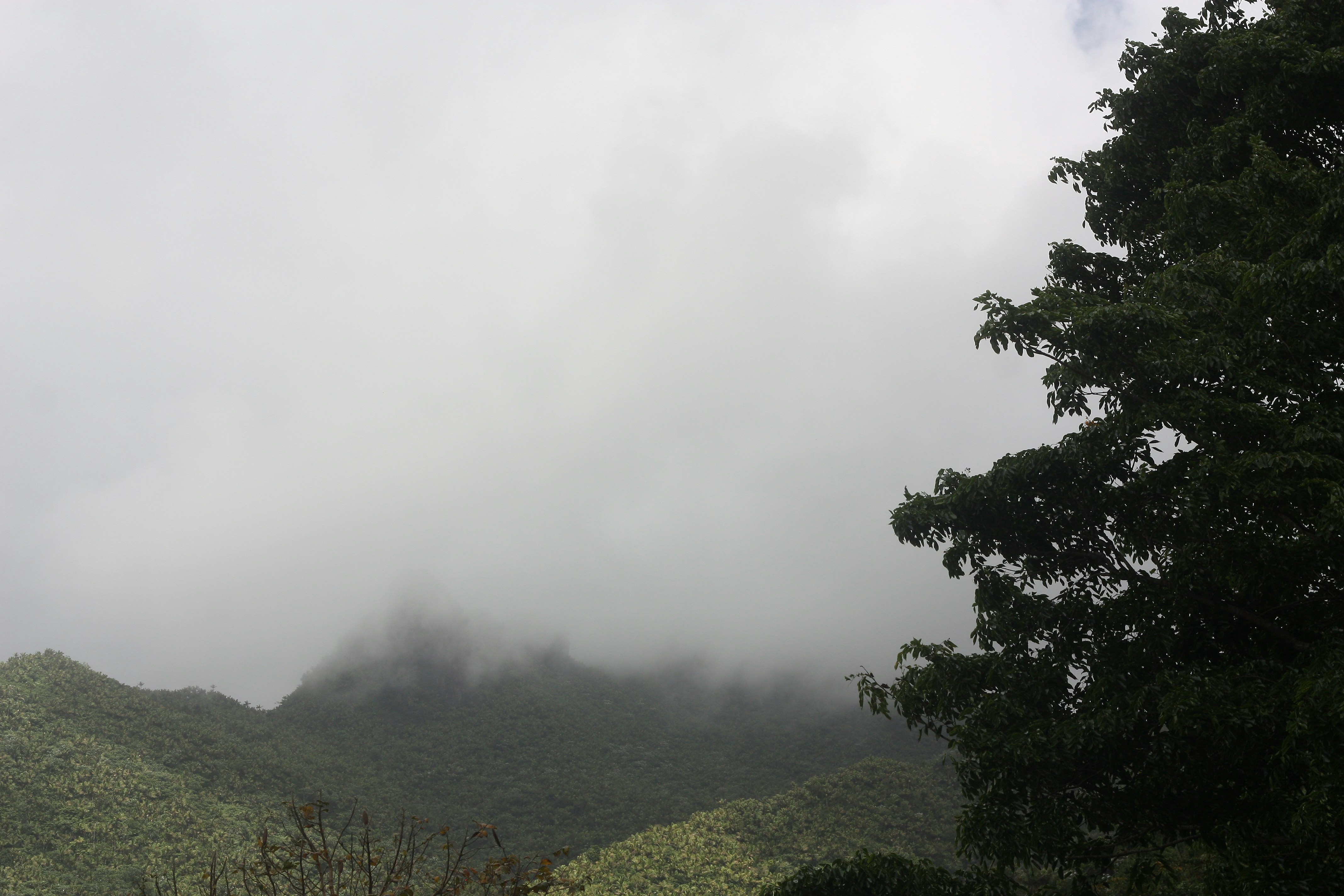 Photo by etiennejanylah