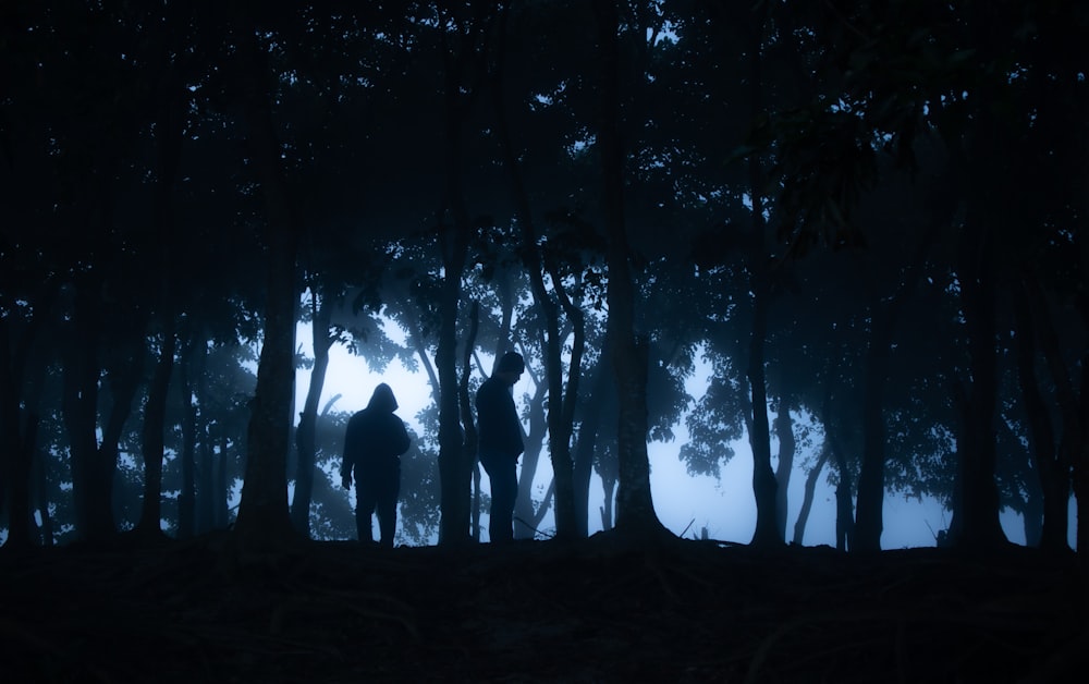 zwei Menschen, die nachts im Wald stehen