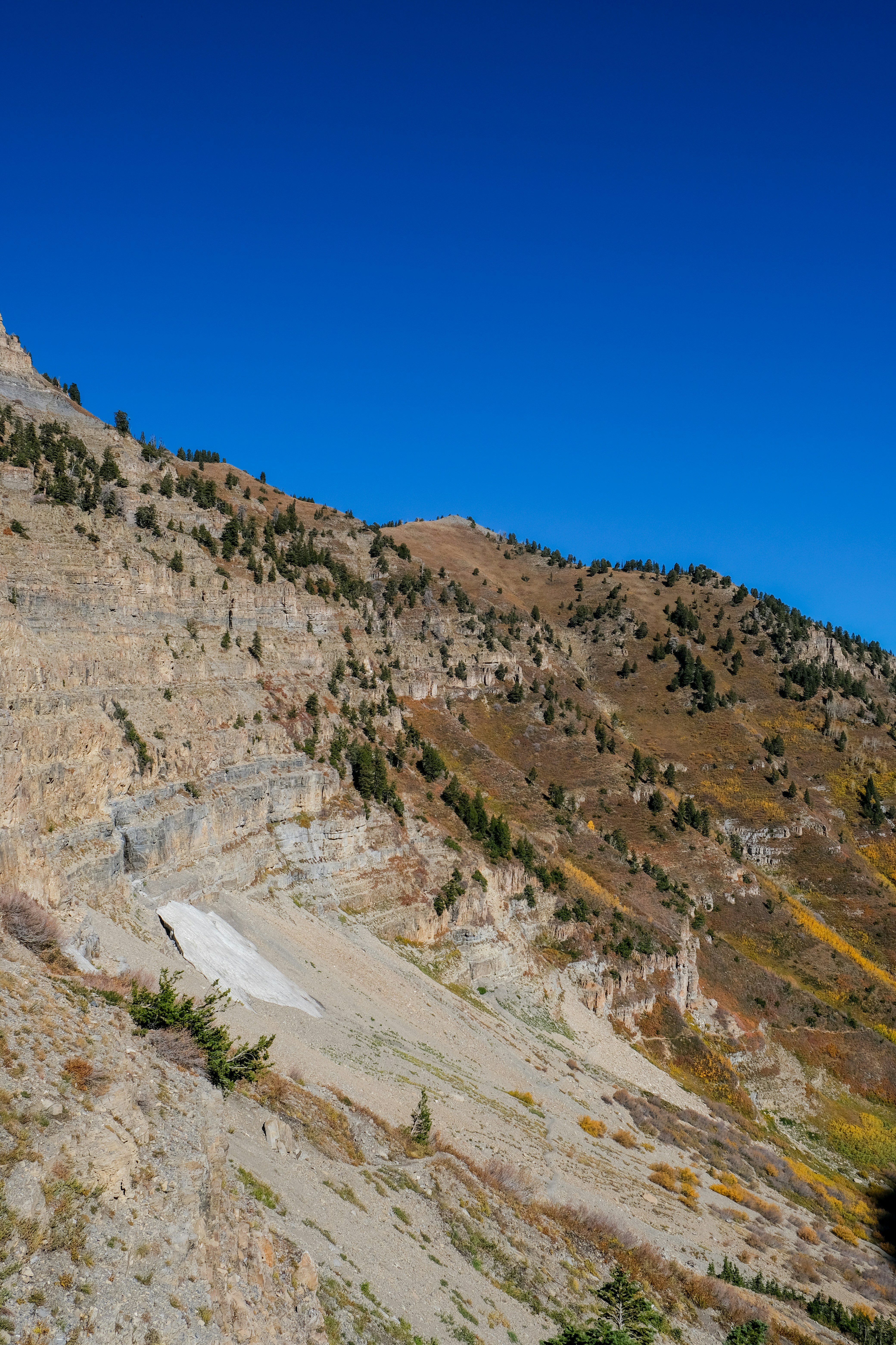 Photo by cestmoisheedy