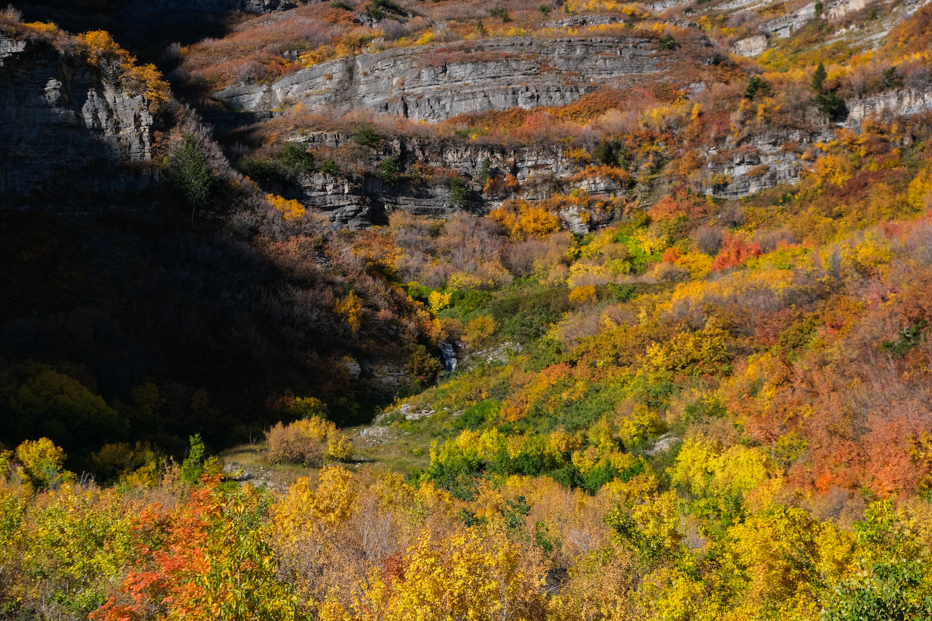 woman wearing yellow long-sleeved dress under white clouds and blue sky during daytime