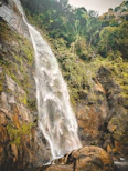The majestic Chitrakot waterfall cascading down rocky cliffs surrounded by dense forest.