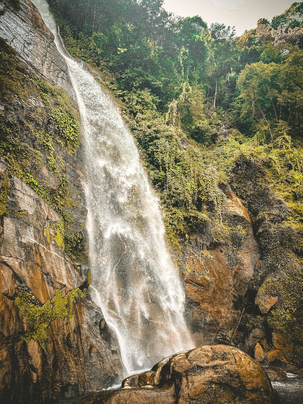 a waterfall in the middle of a forest