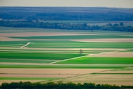 An expansive landscape of flat agricultural fields in various shades of green and brown. The fields are divided by straight lines, likely dirt paths or small roads, with a solitary tree standing prominently near the center. The horizon shows a distant line of trees under a slightly overcast sky, suggesting a rural and serene setting.