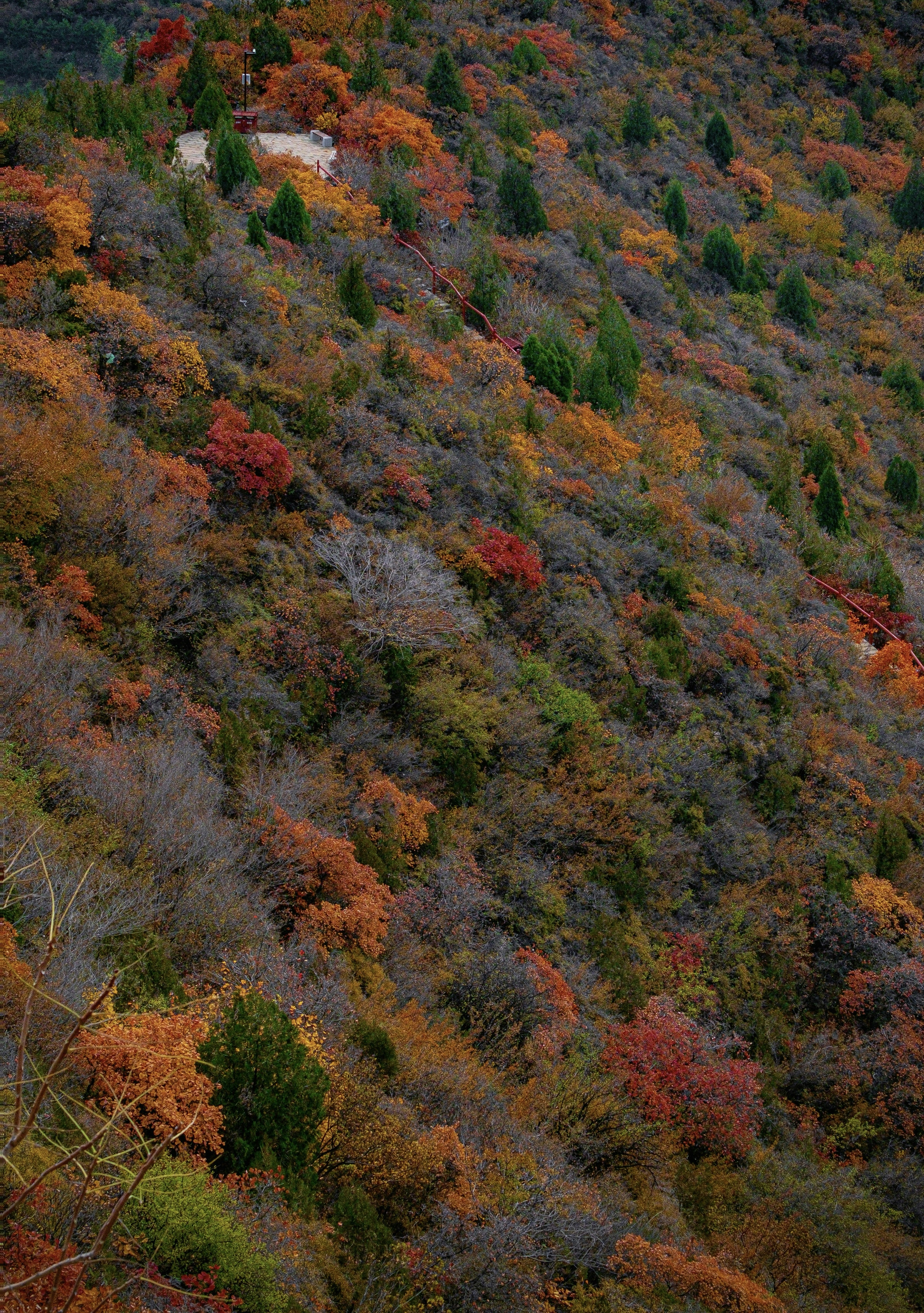 Photo by hattrick1996