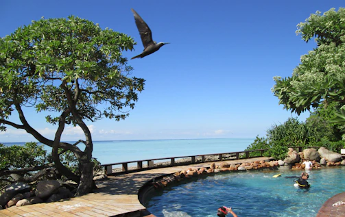 A serene coastal poolside scene with shimmering clear water reflecting the soft blue sky and surrounded by tropical greenery.