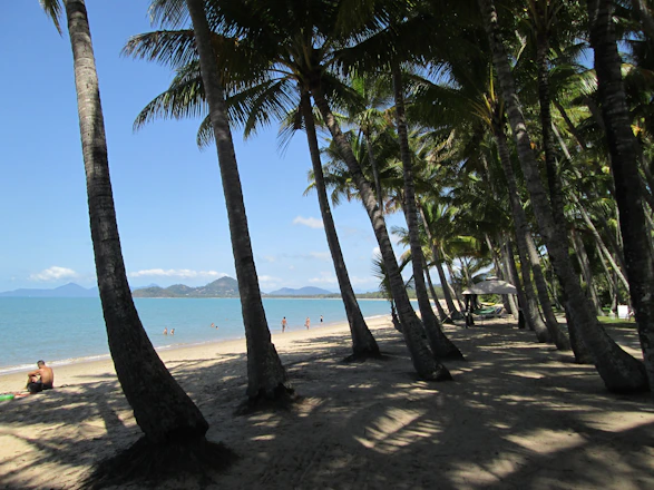 A sunny beach scene with a plane flying overhead, inviting relaxation and adventure.