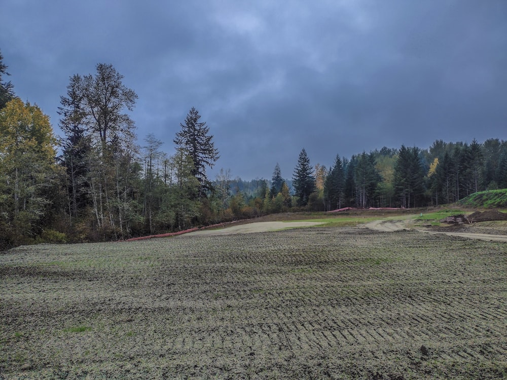 an empty field with trees in the background