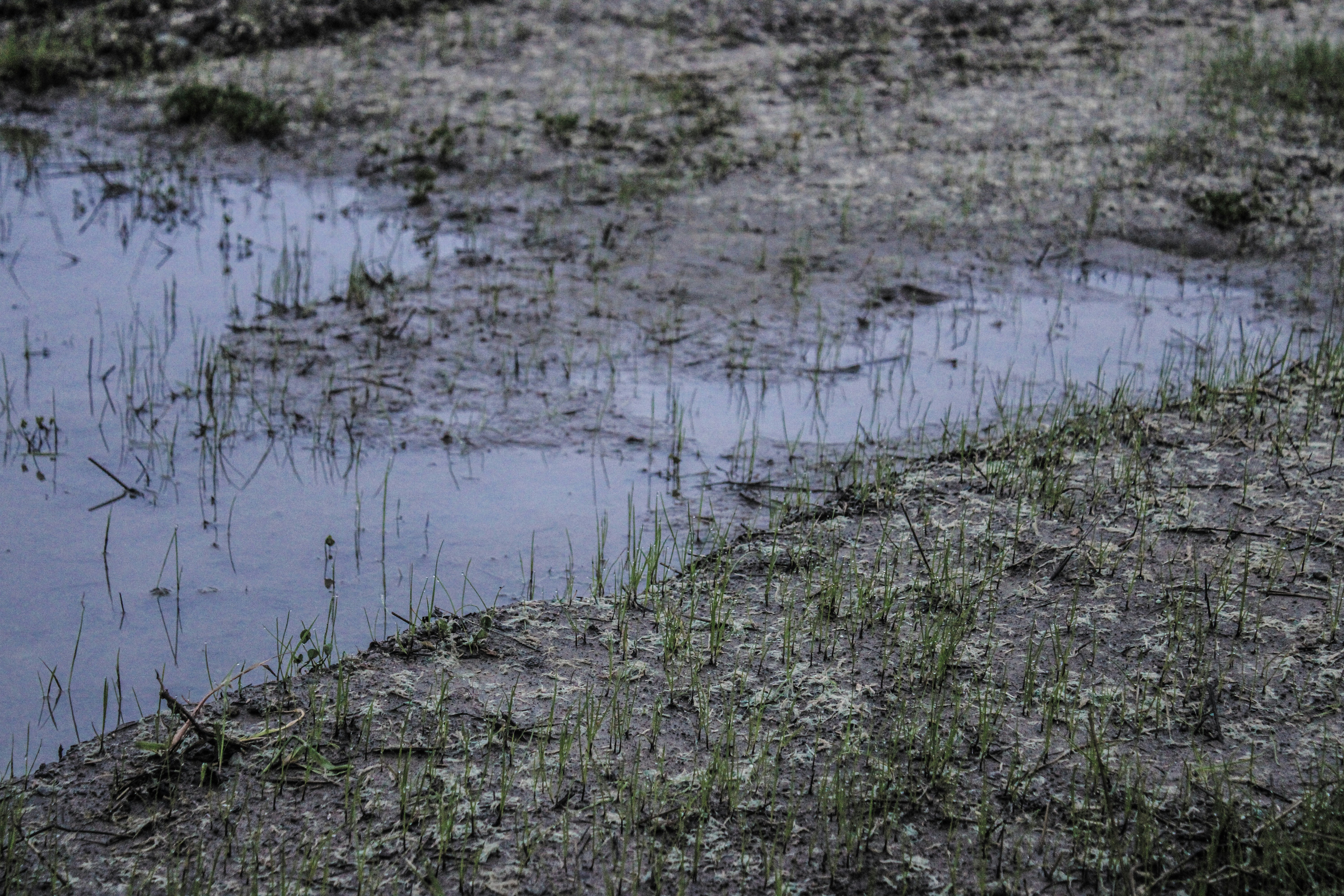 Photo by prphotography262