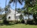 A charming small church with a light-colored wooden exterior is surrounded by lush greenery and tall palm trees. The church features a steep, metal roof and a cross at the top. The windows are elegantly shaped, adding to the beautiful, tranquil setting.