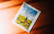 A magazine cover is laid on a warm-toned surface, featuring a surreal photograph of a person standing on a suitcase, reaching for a ladder that extends into a cloudy blue sky, positioned against a vibrant green mossy hillside.