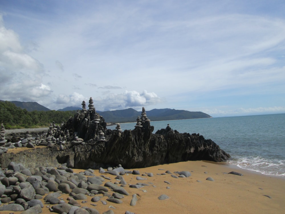 una playa con rocas y árboles