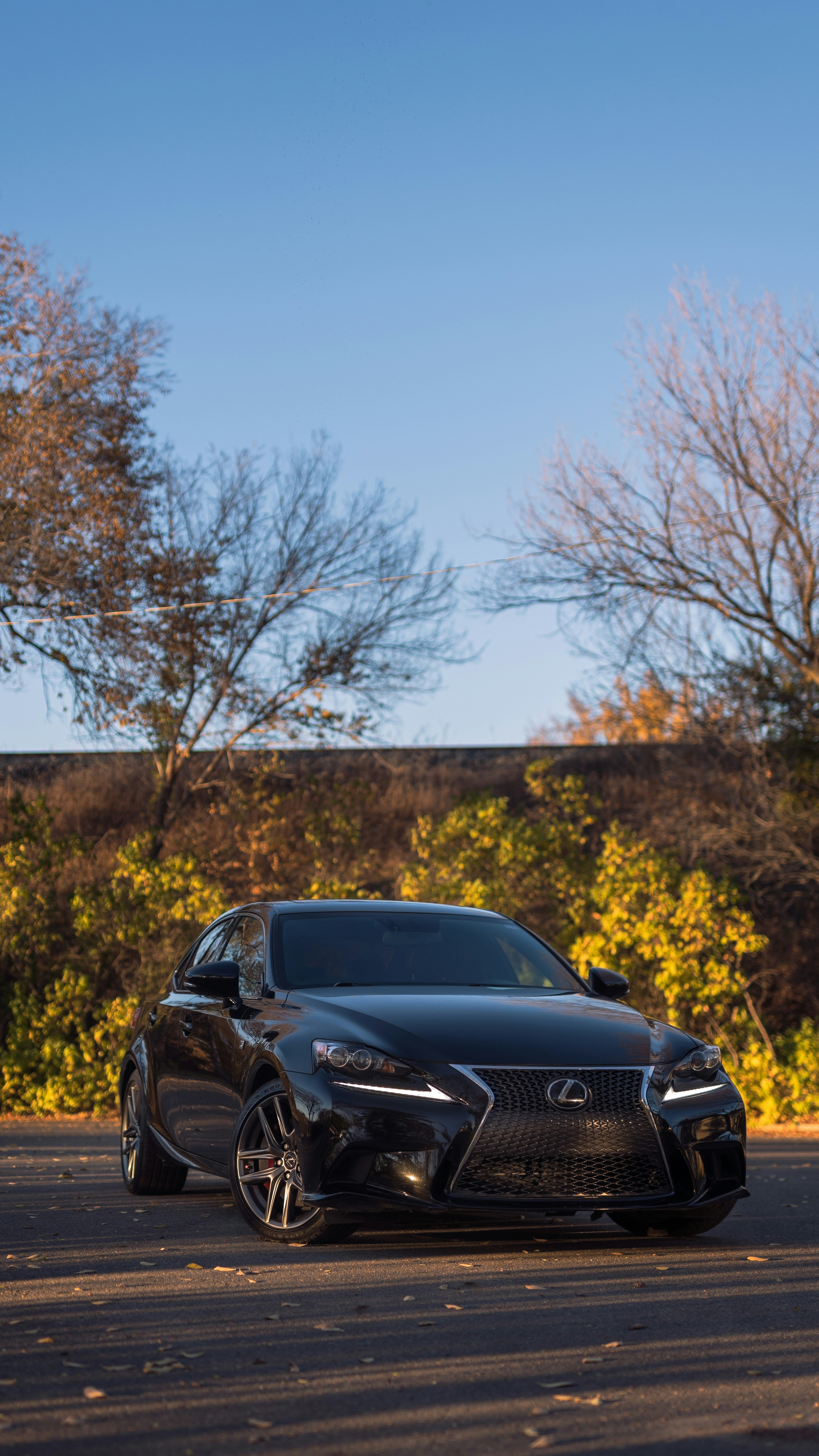 Northline Detail professional carefully applying ceramic coating to a black luxury car in a residential driveway, golden hour light, dark surroundings