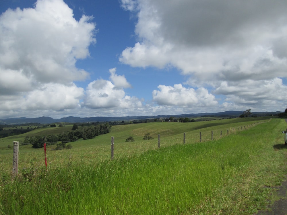 a car driving down a road next to a lush green field