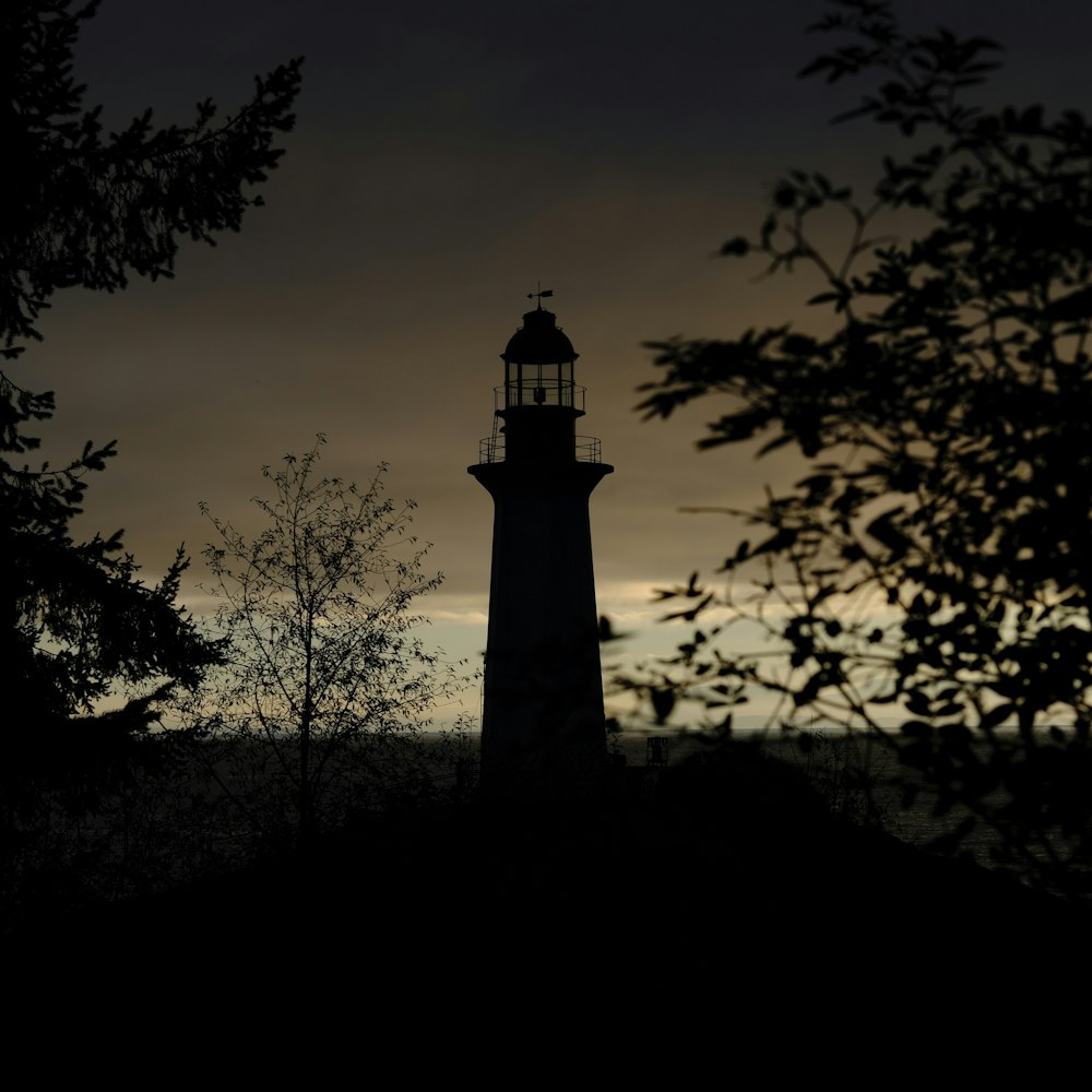 a black and white photo of a light house