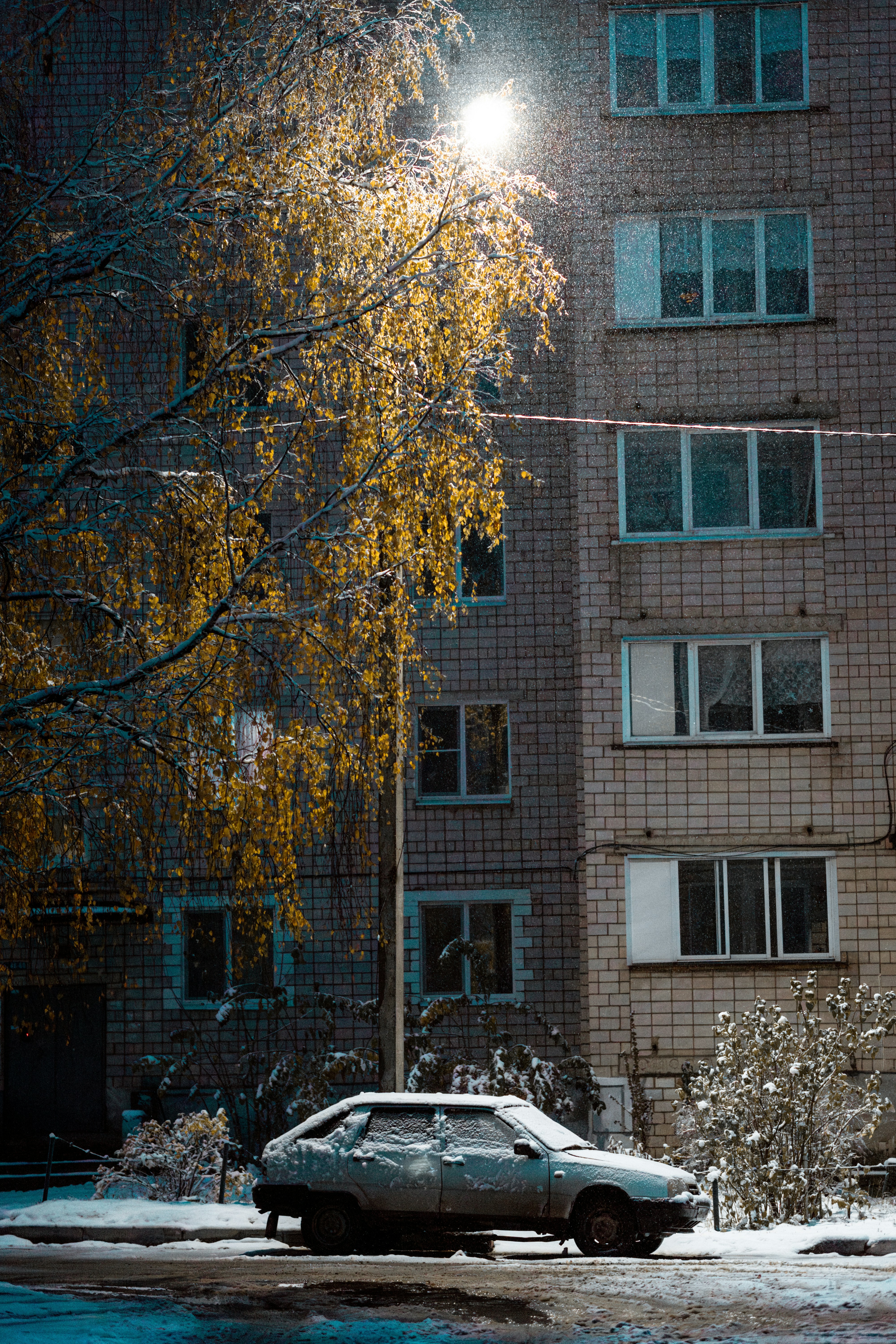 Photo by dismilated
