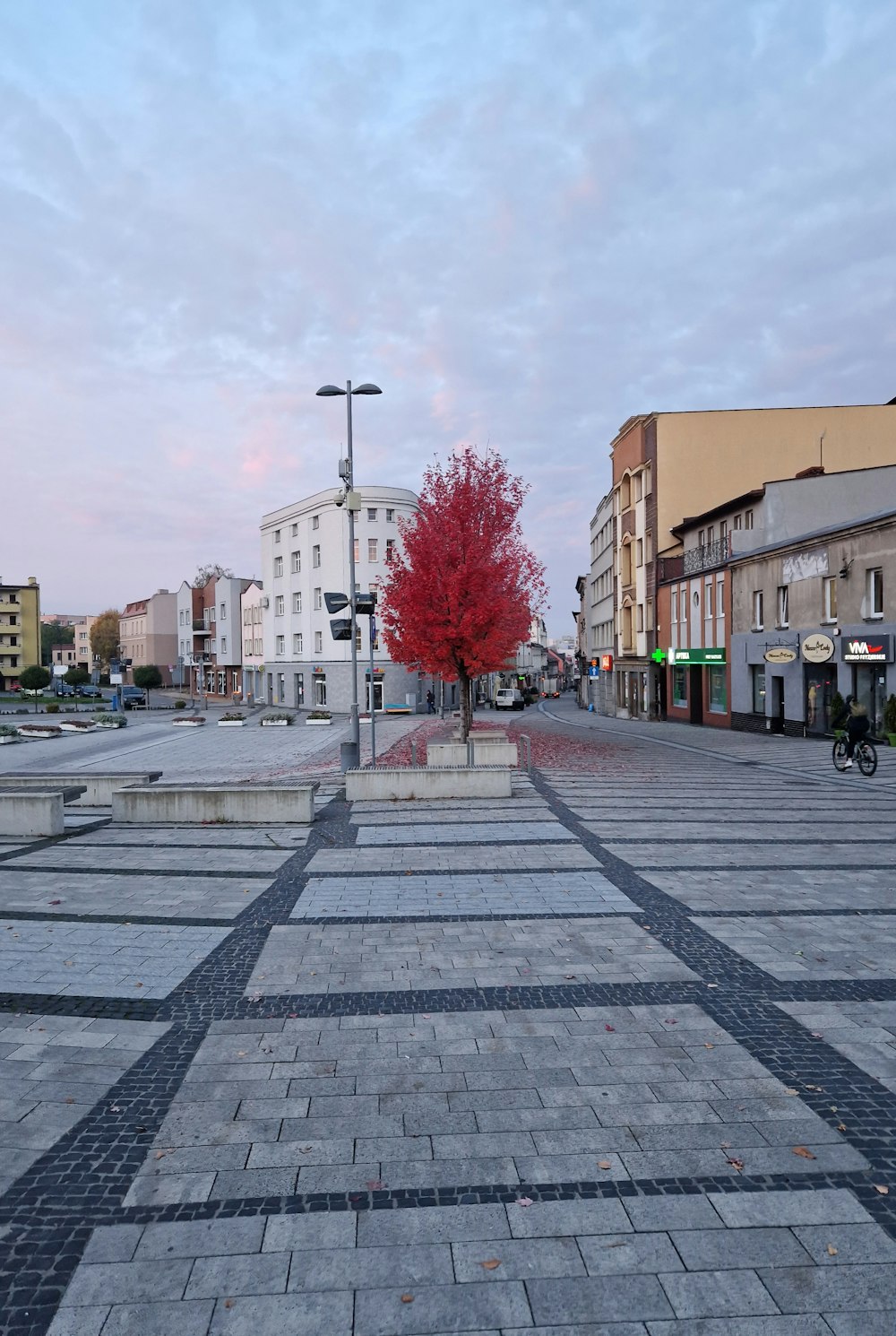 Un arbre rouge au milieu d’une rue