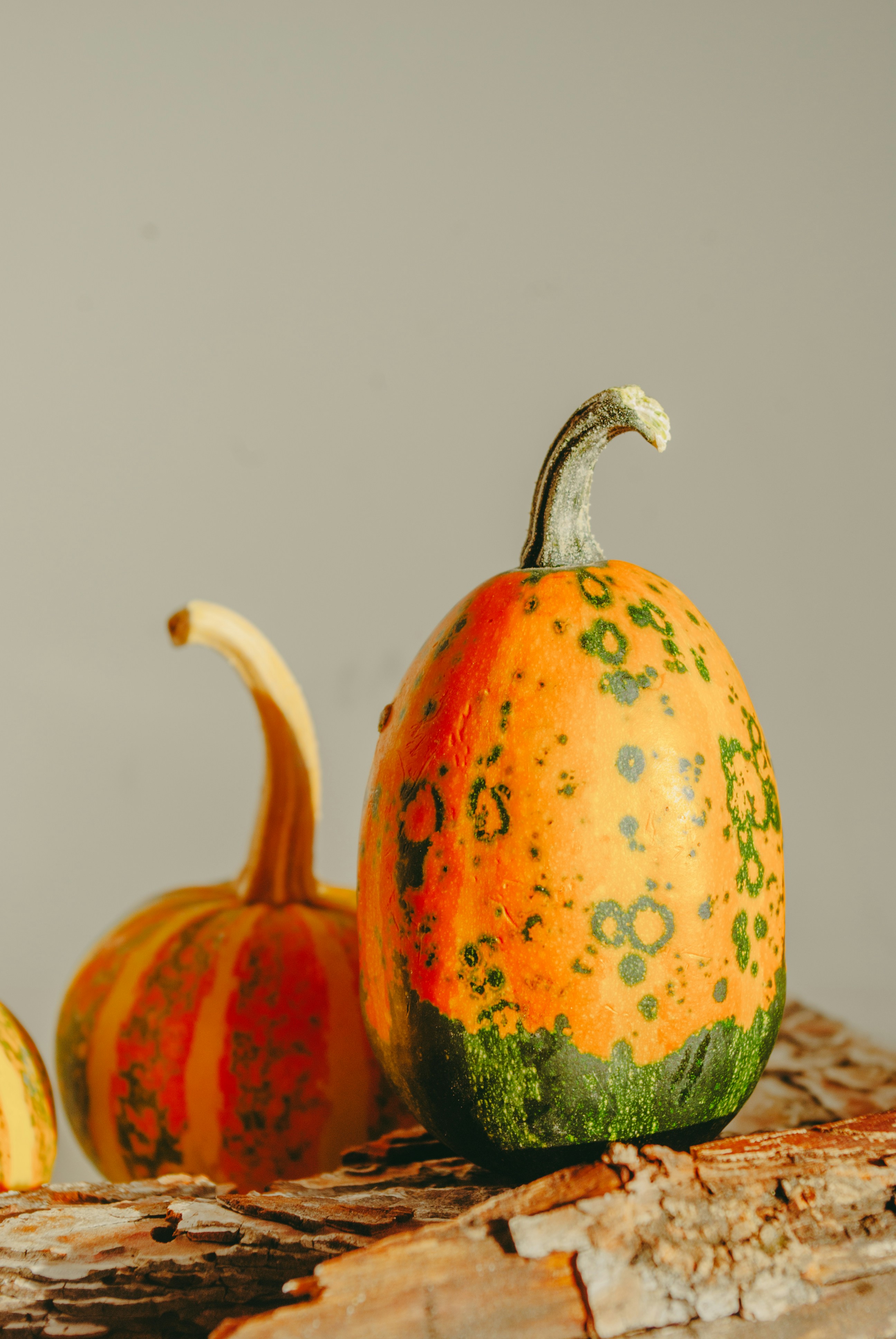 Photo by moonmoons_days