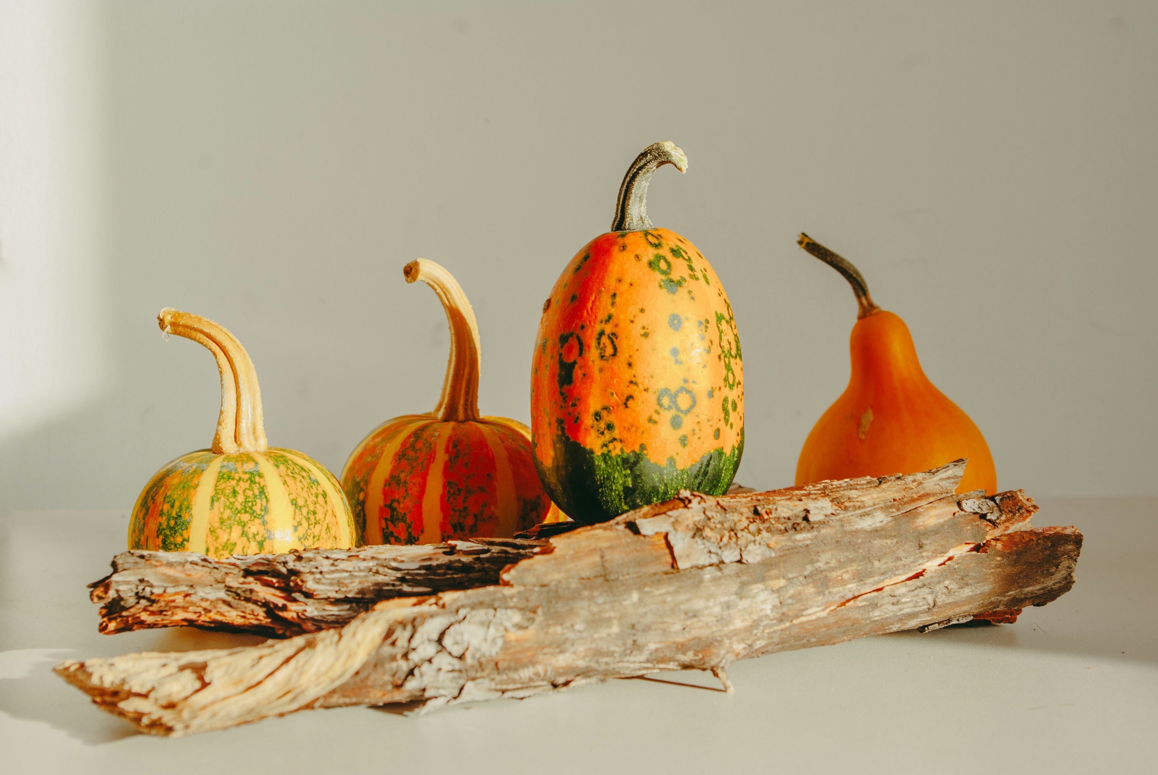 Photo by moonmoons_days