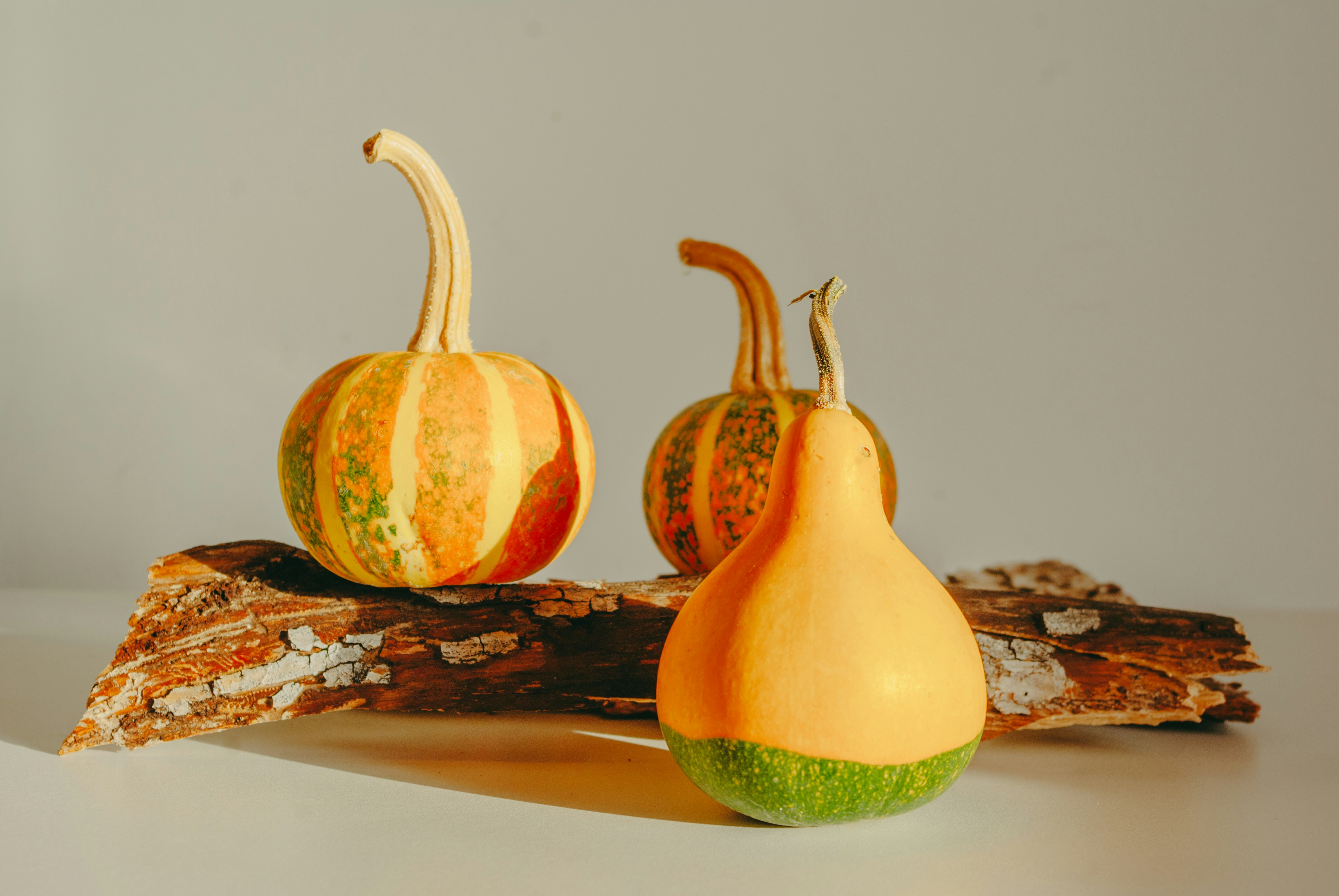 Photo by moonmoons_days