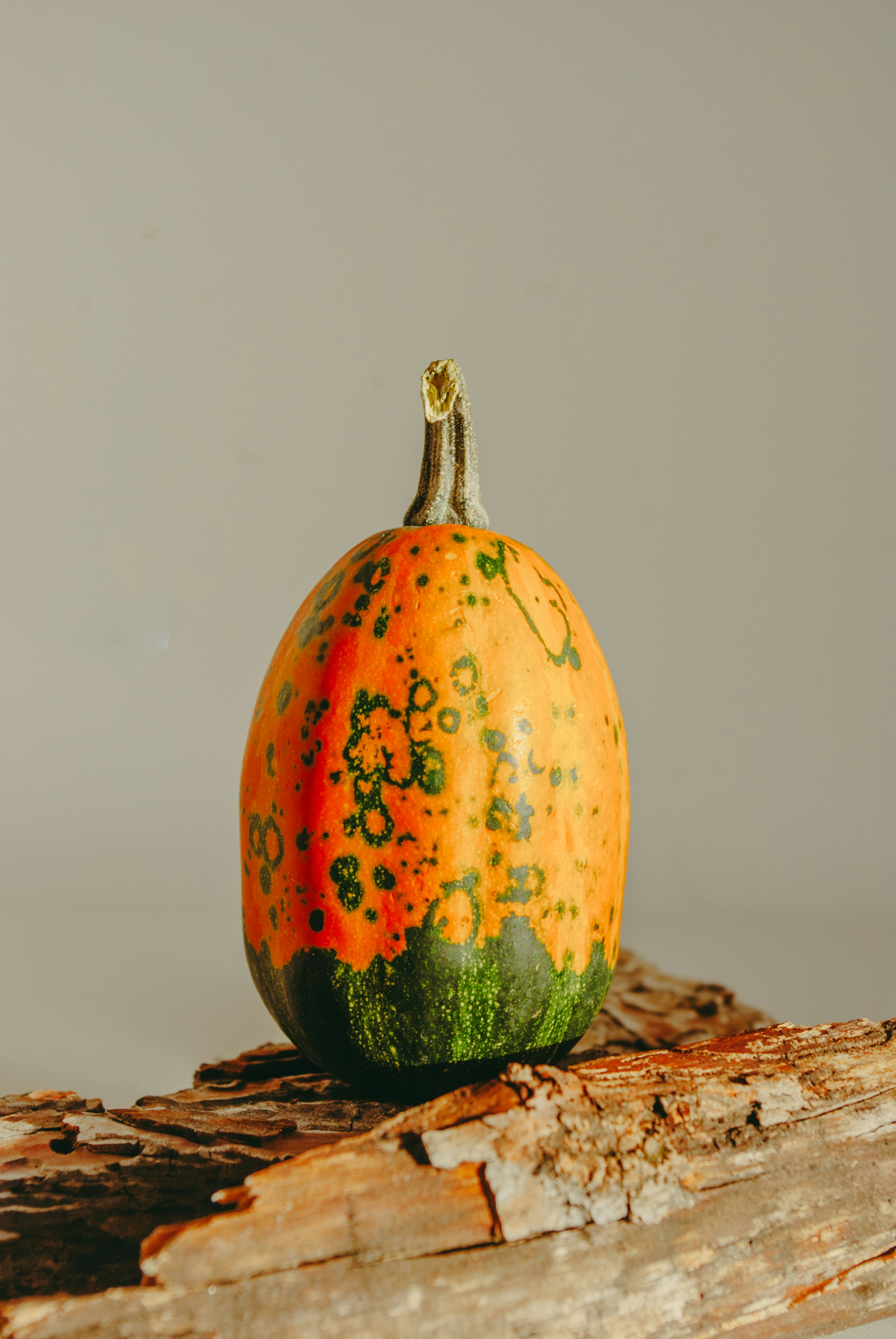 Photo by moonmoons_days