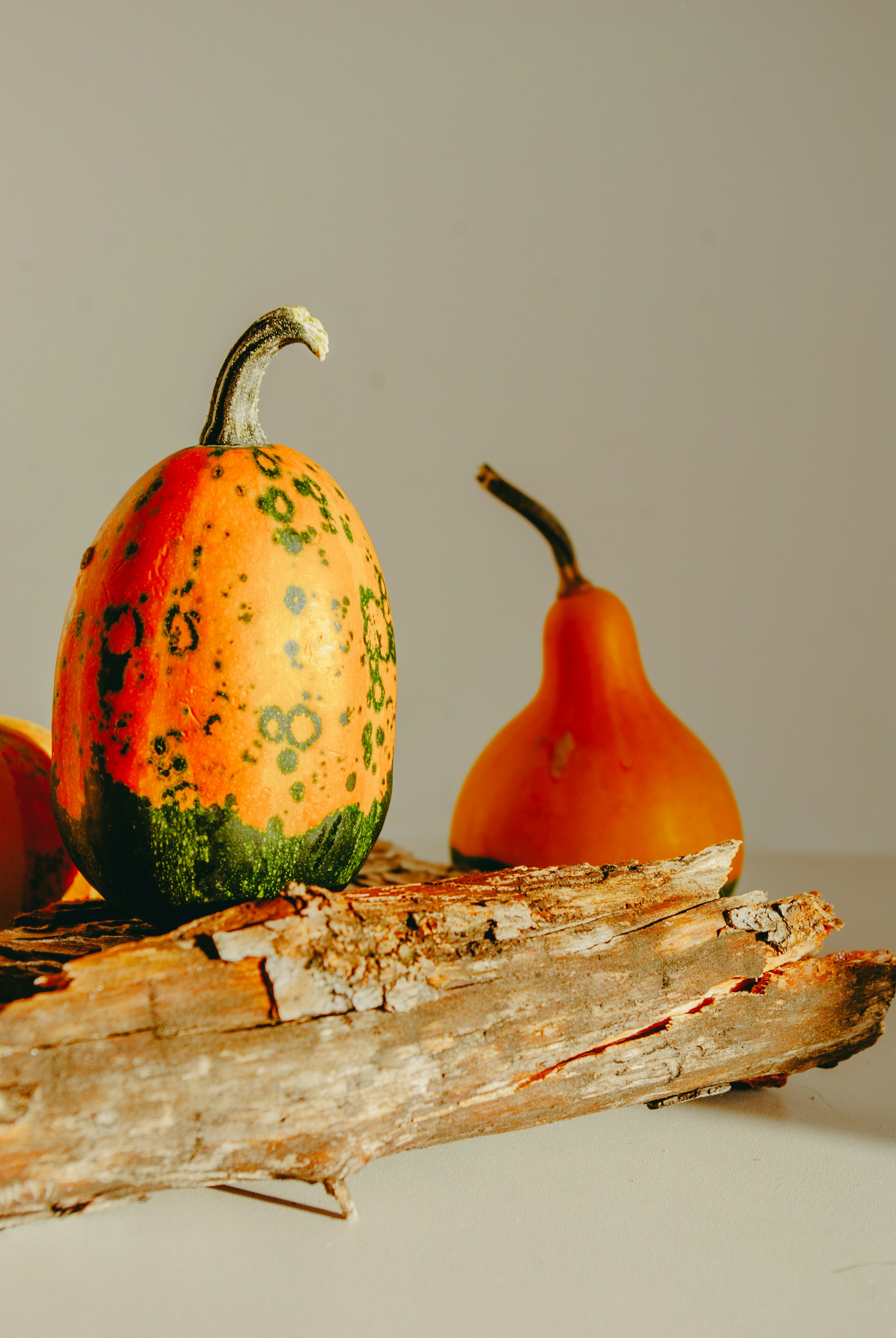 Photo by moonmoons_days