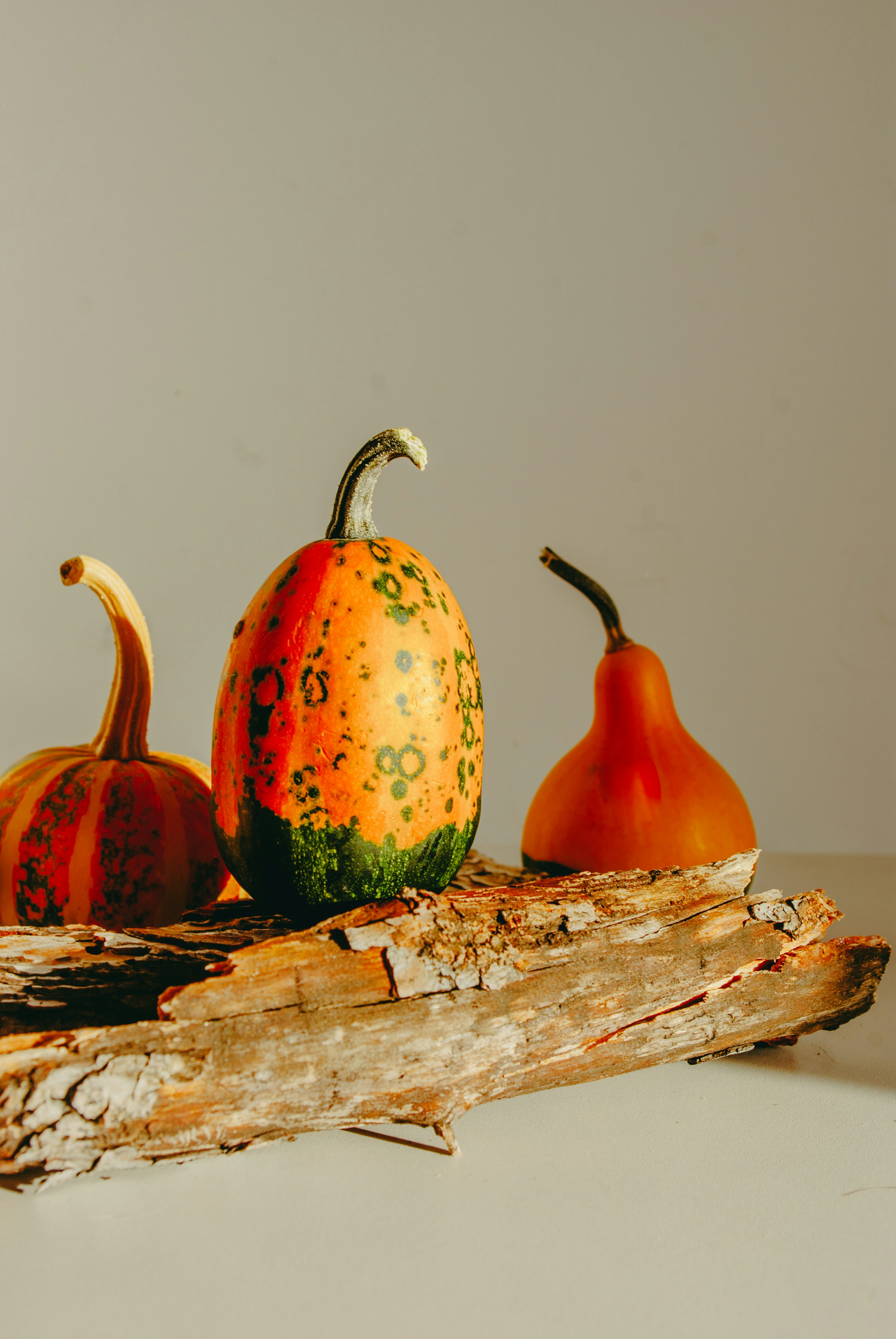 🍎 Where to Go Apple & Pumpkin Picking in Bergen County This Fall