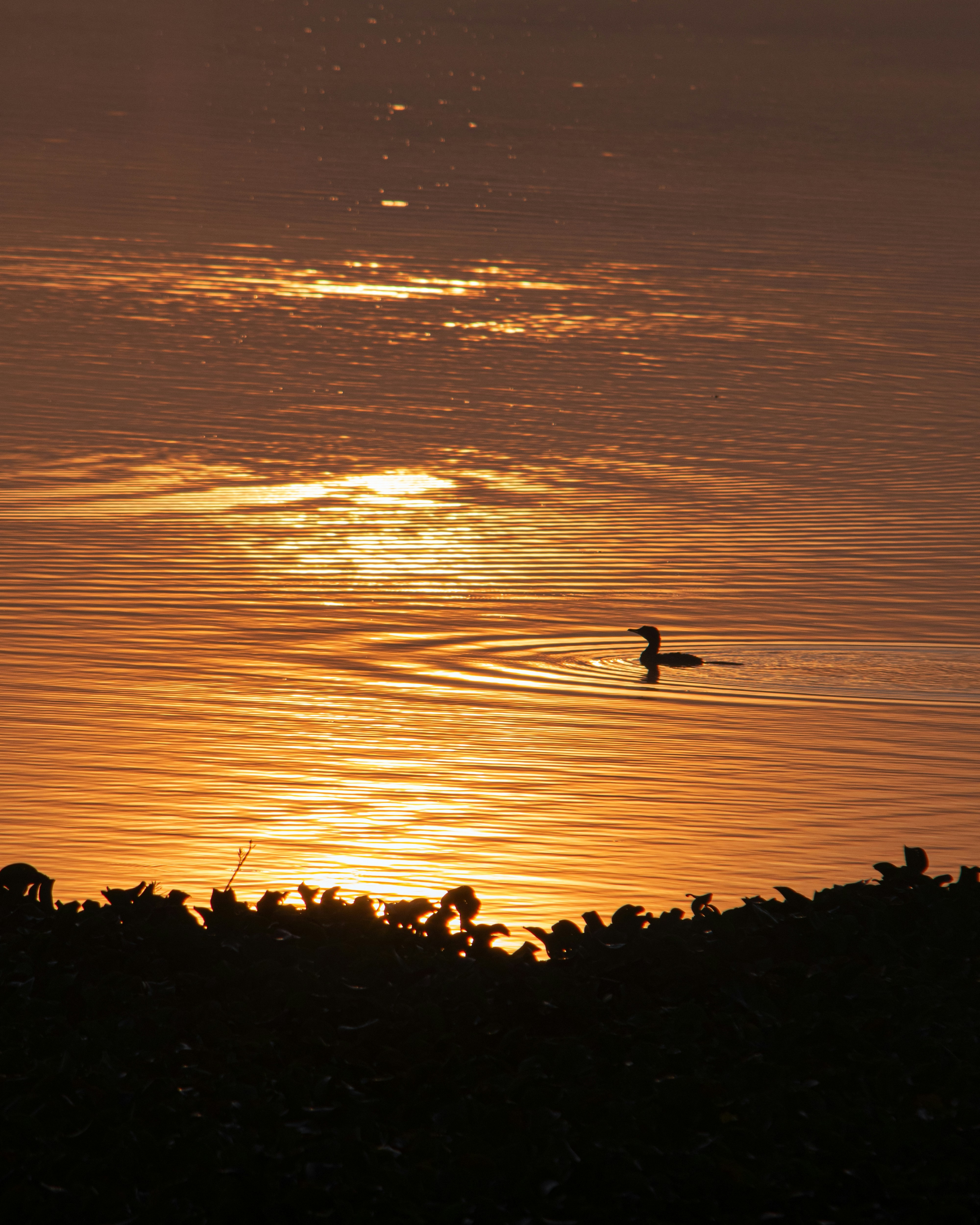 Photo by nimmafotugrapher