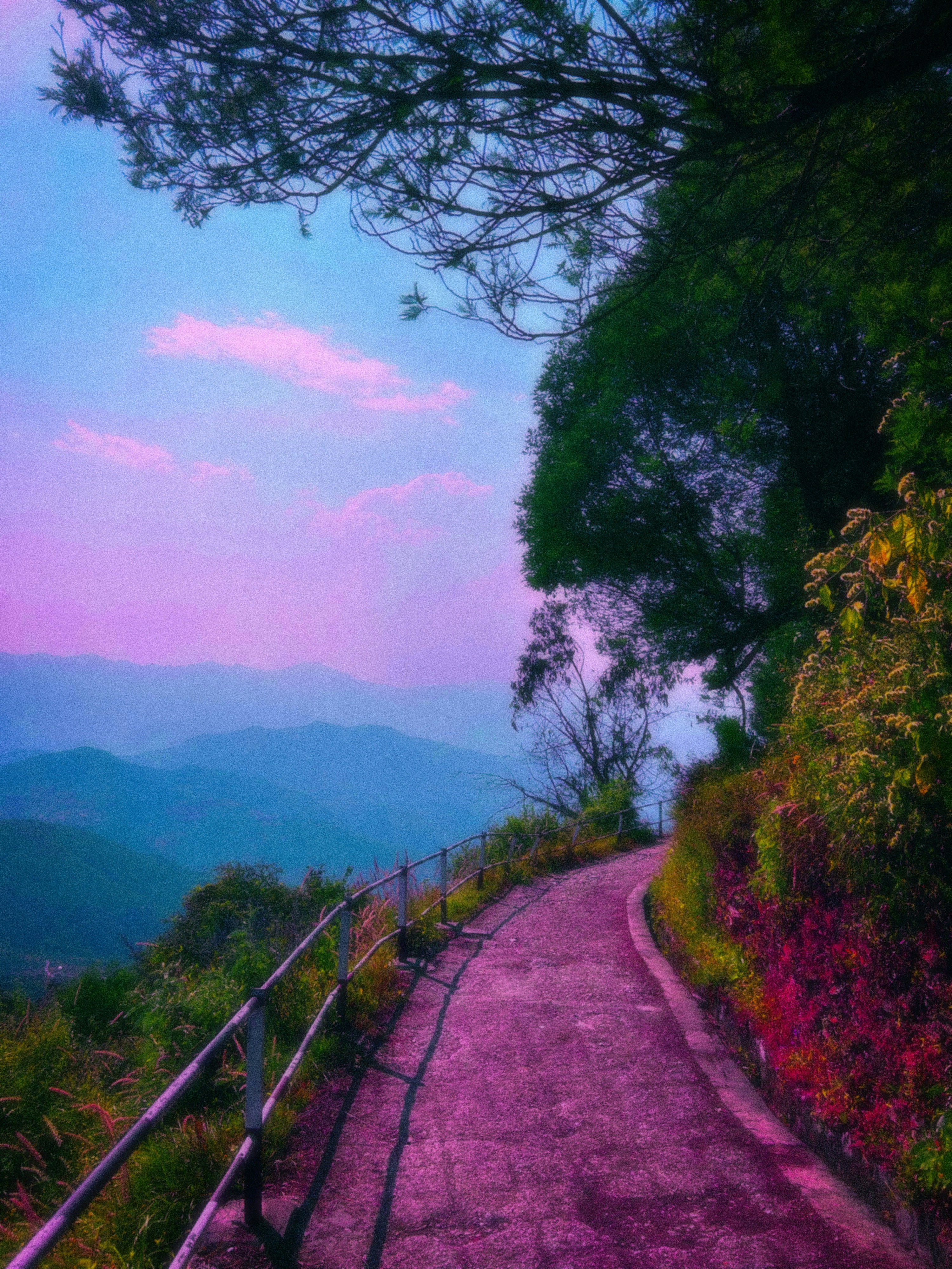 Réservez votre aventure