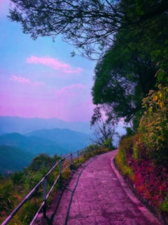 A peaceful mountain trail winding through lush greenery under a clear blue sky.