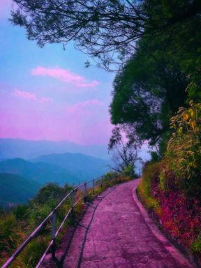 A serene mountain trail winding through lush greenery under a soft morning sky.