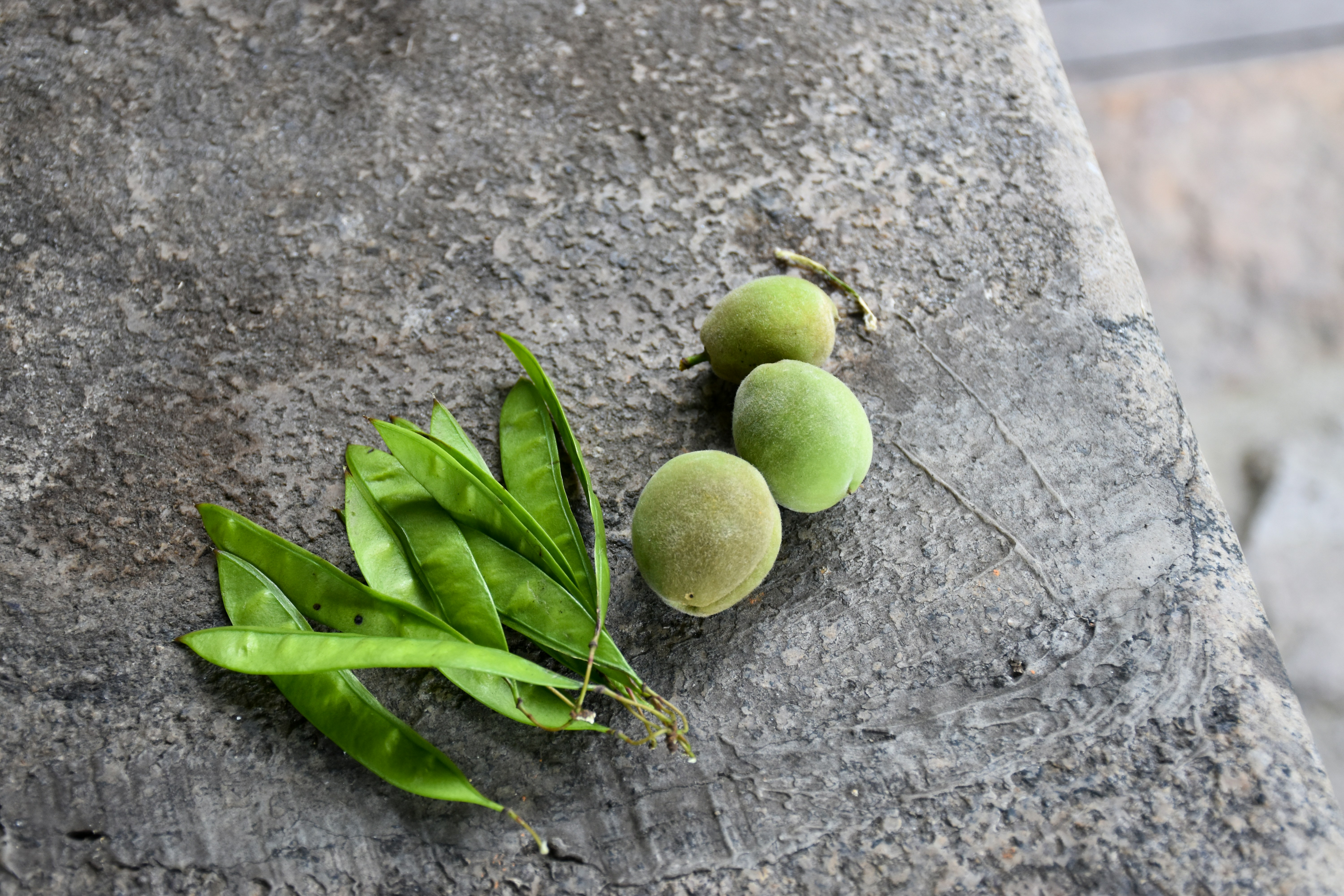 beberapa buah hijau duduk di atas batu