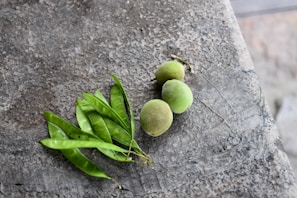 Fresh melão de são caetano fruit with green leaves and natural capsules beside it