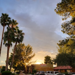 A serene outdoor scene featuring a sunset casting a warm glow over a suburban neighborhood. Tall palm trees and leafy trees frame the image, with some scattered clouds in the sky. A low-rise building with a sign is visible, alongside parked cars in a driveway.