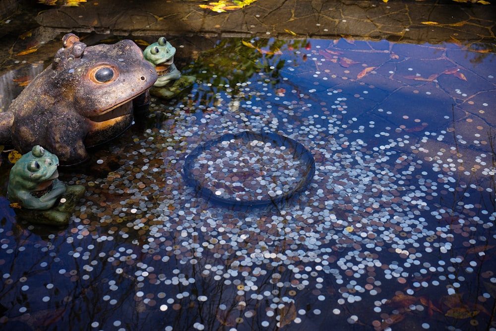 a frog statue sitting on top of a puddle of water