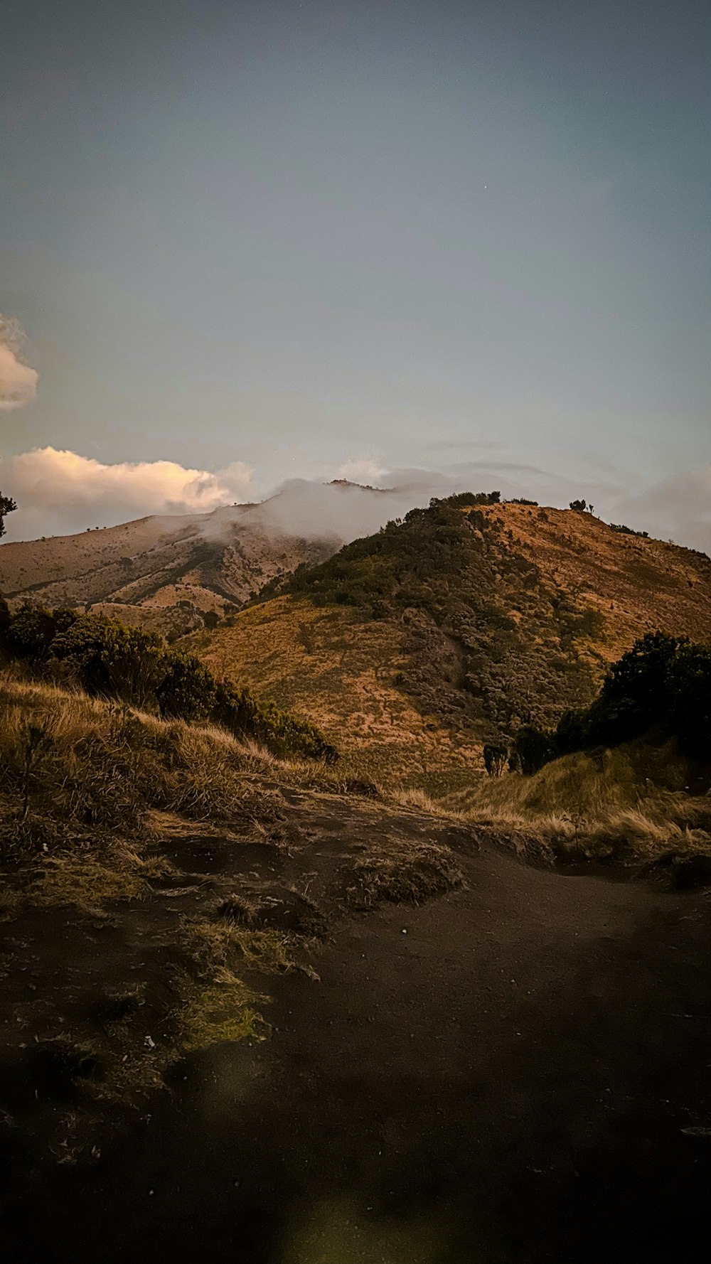 a hill with a few trees on top of it