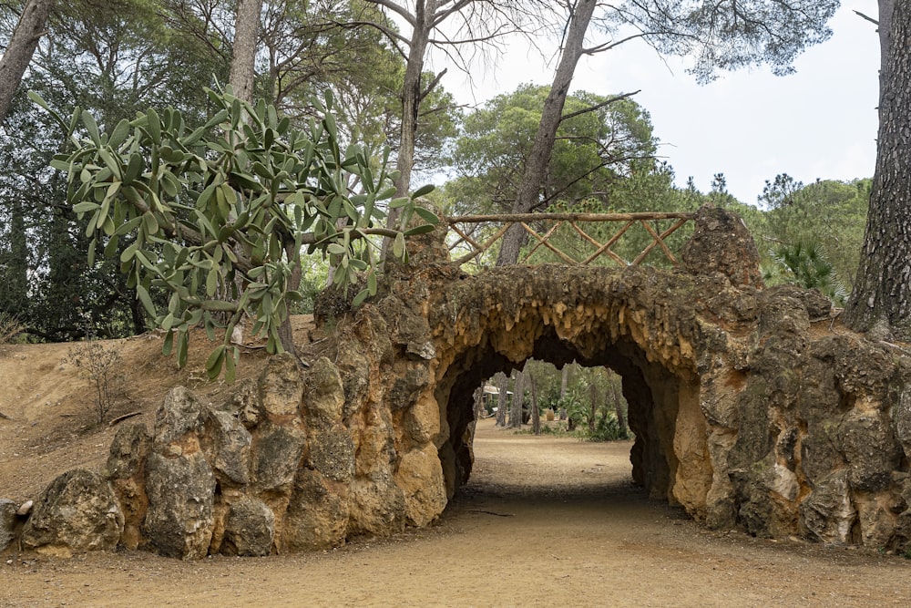 Un túnel de piedra en medio de un bosque