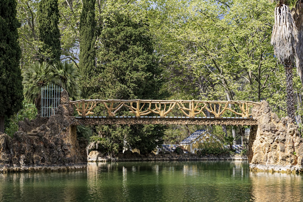 un puente de madera sobre un cuerpo de agua