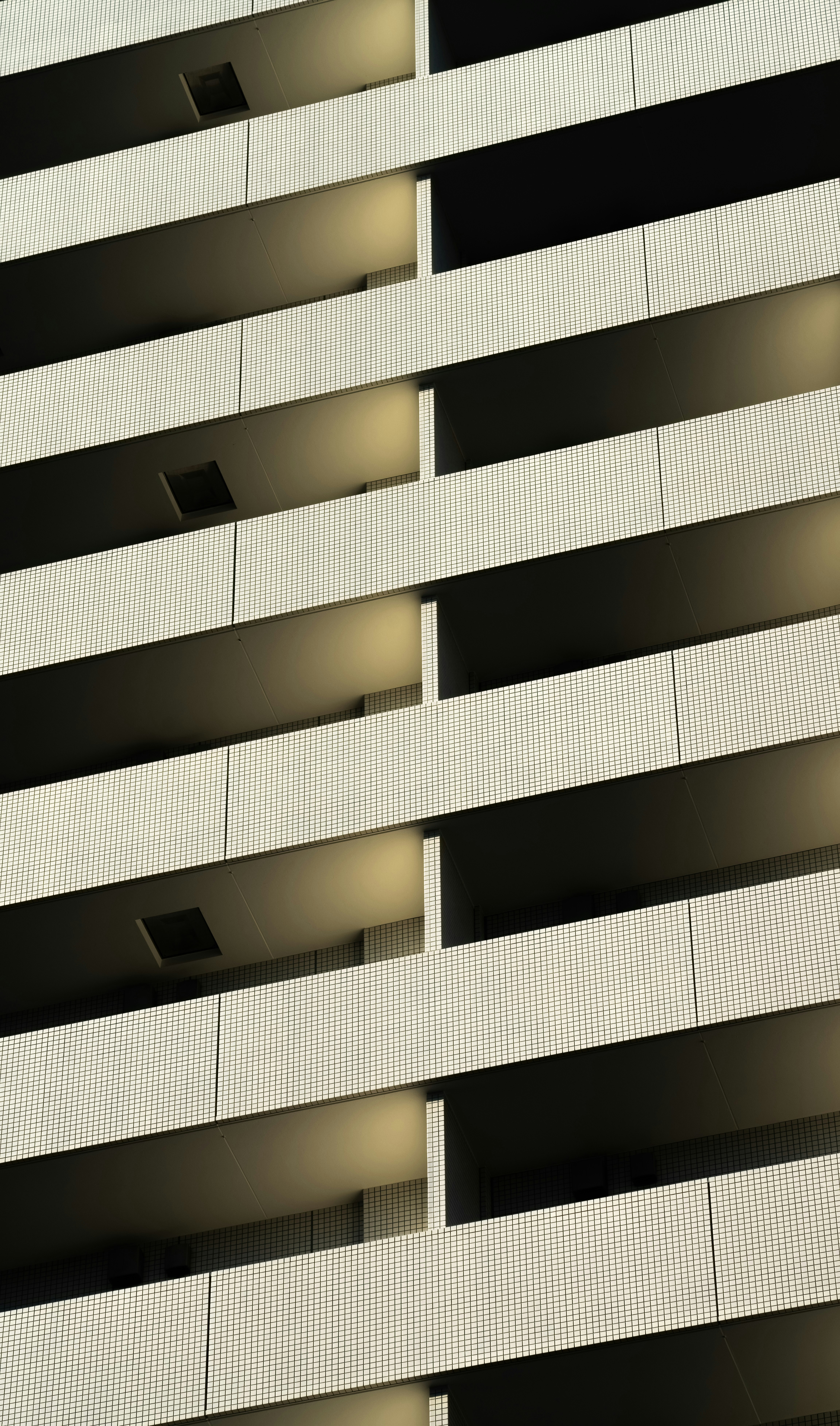 Photo by juniperphoton