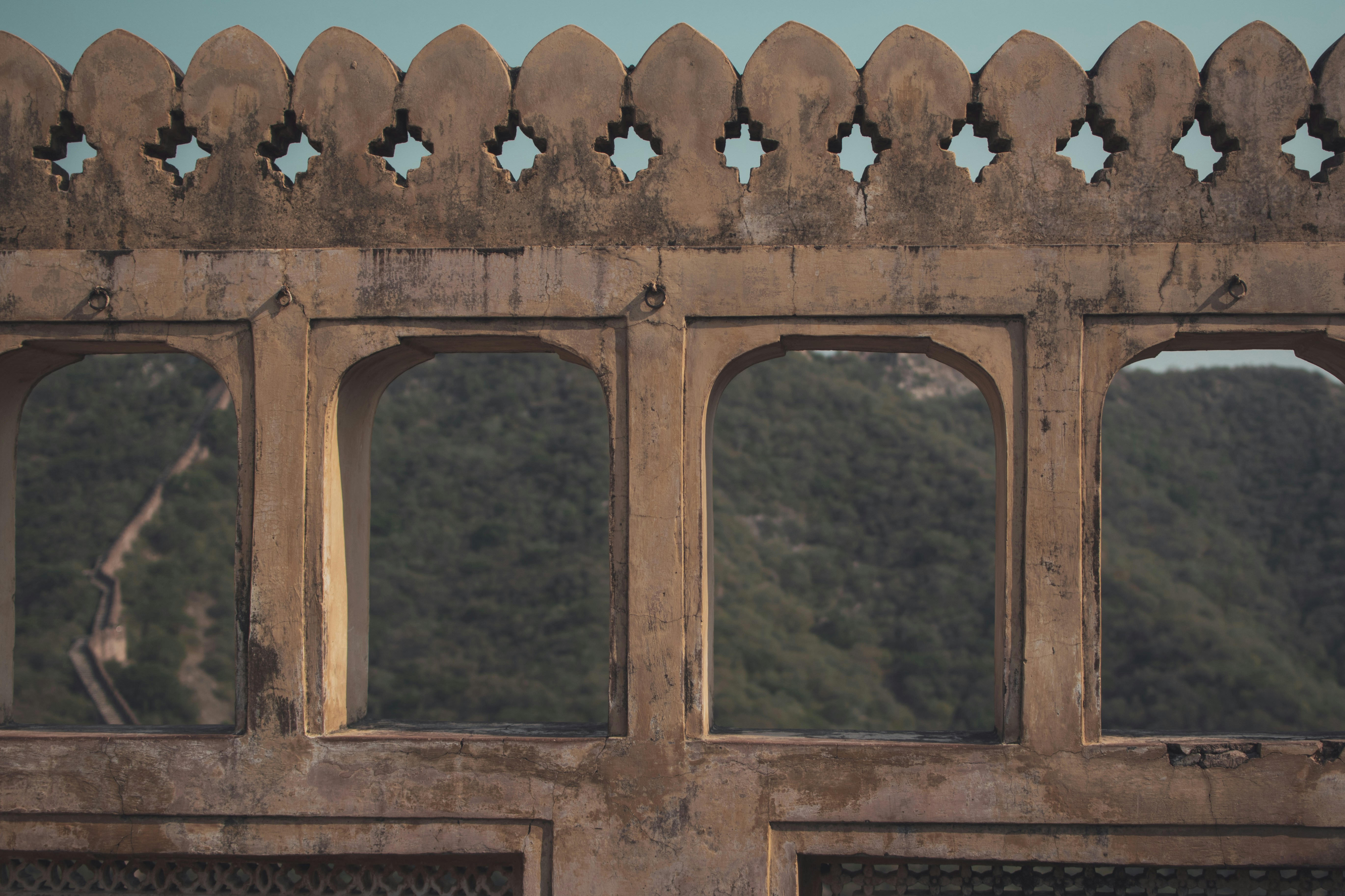 Photo by daminirathore