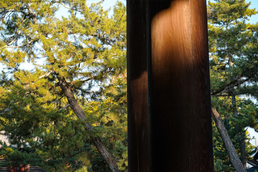 a close up of a telephone pole with trees in the background