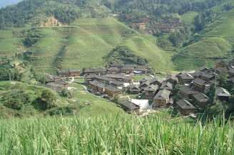 Traditional Miao village with colorful costumes and wooden houses nestled in the hills.
