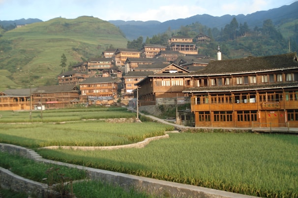 Traditional stilt houses and rice paddies in Mai Chau village.