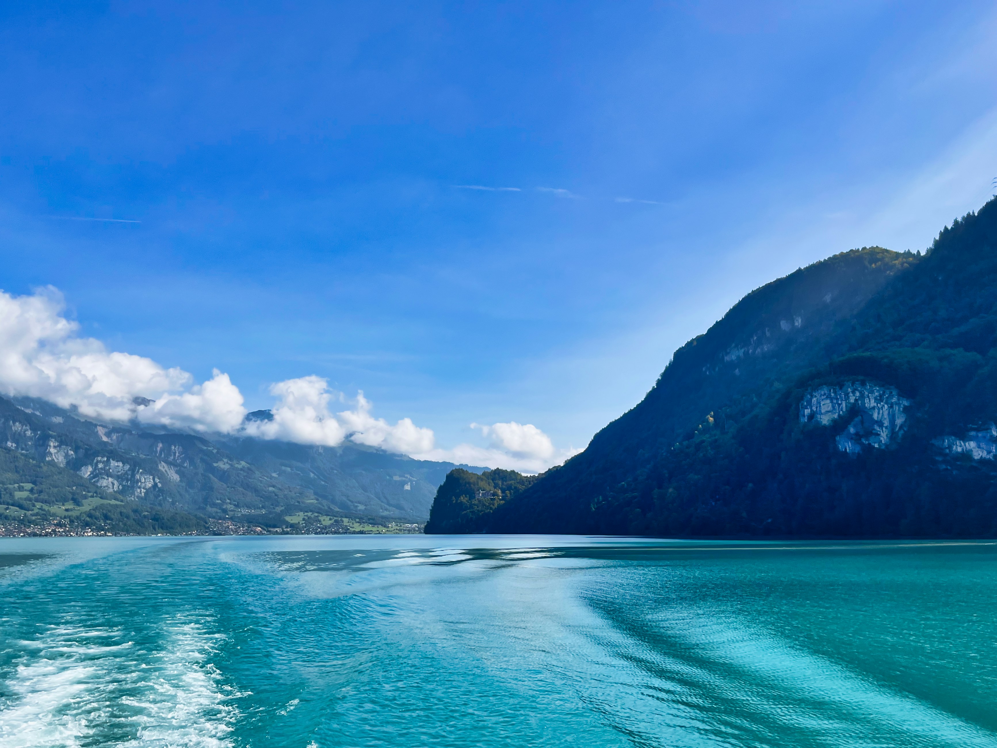 Photo by shiv_saxena