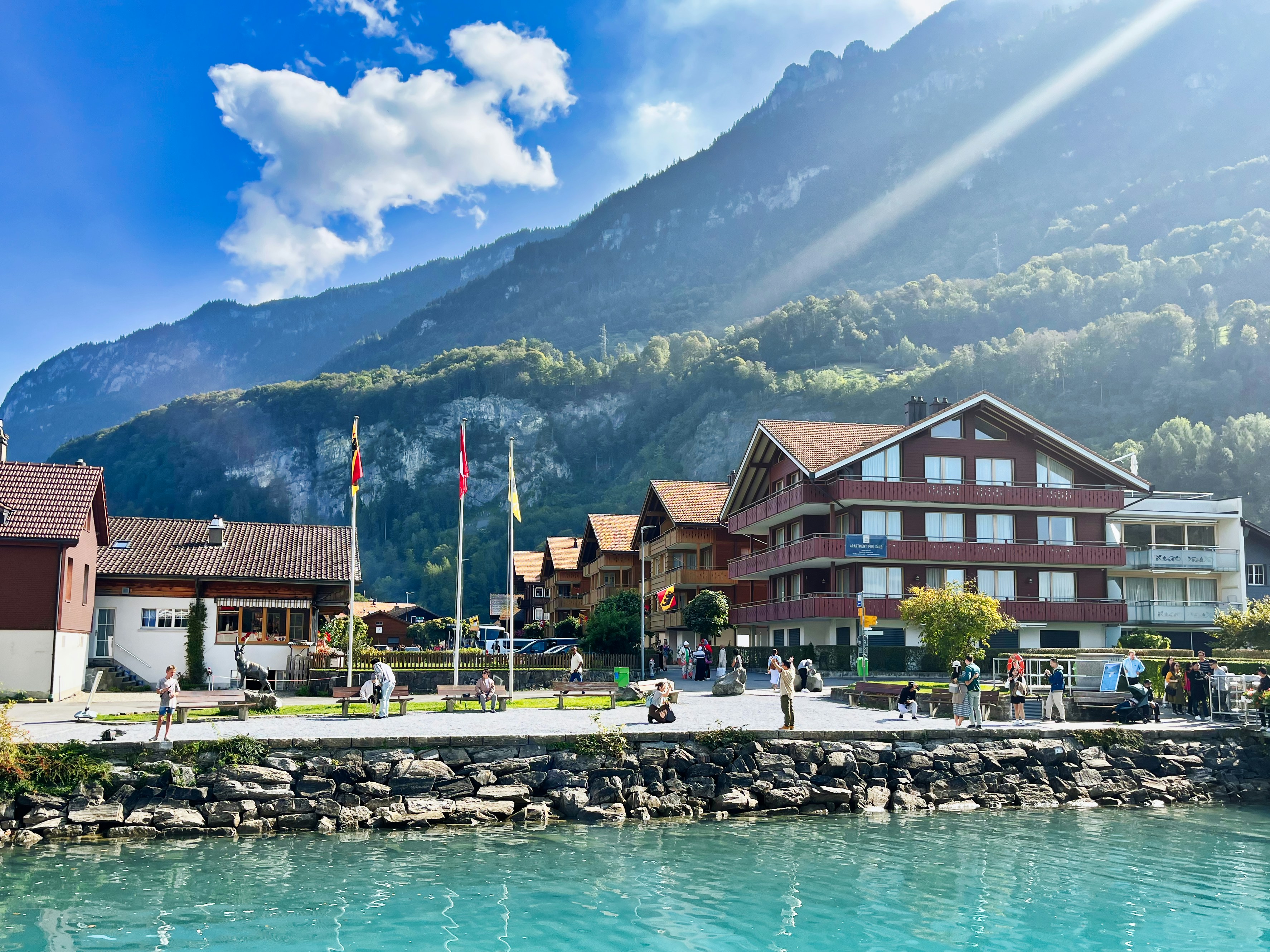 Photo by shiv_saxena