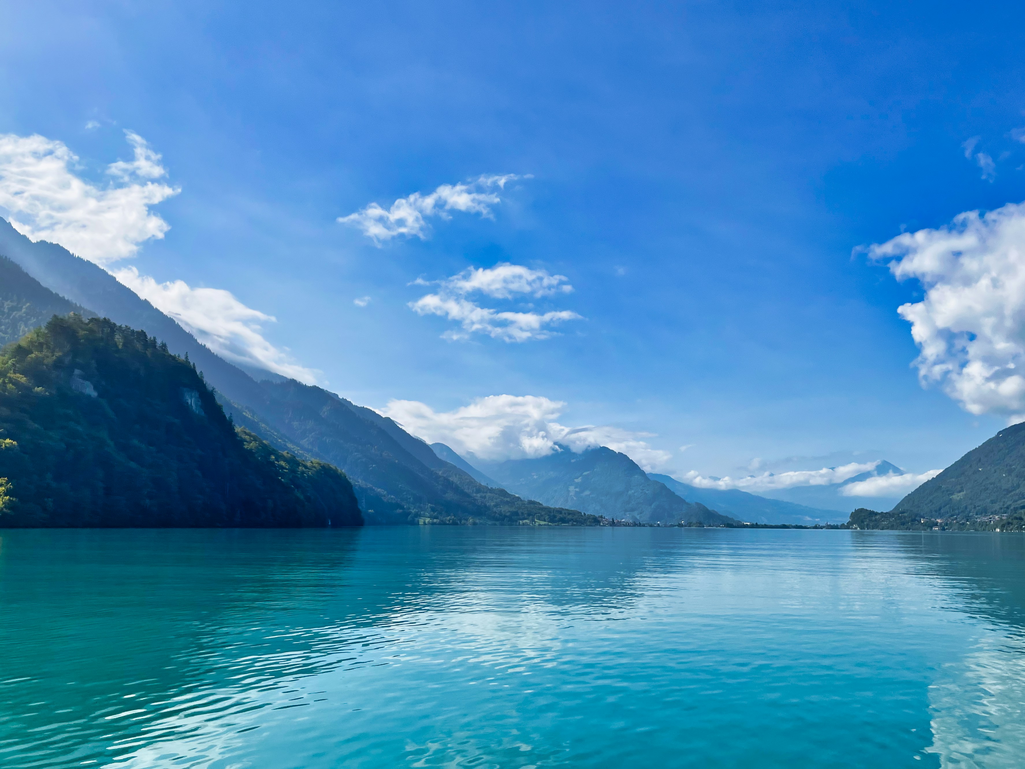 Photo by shiv_saxena