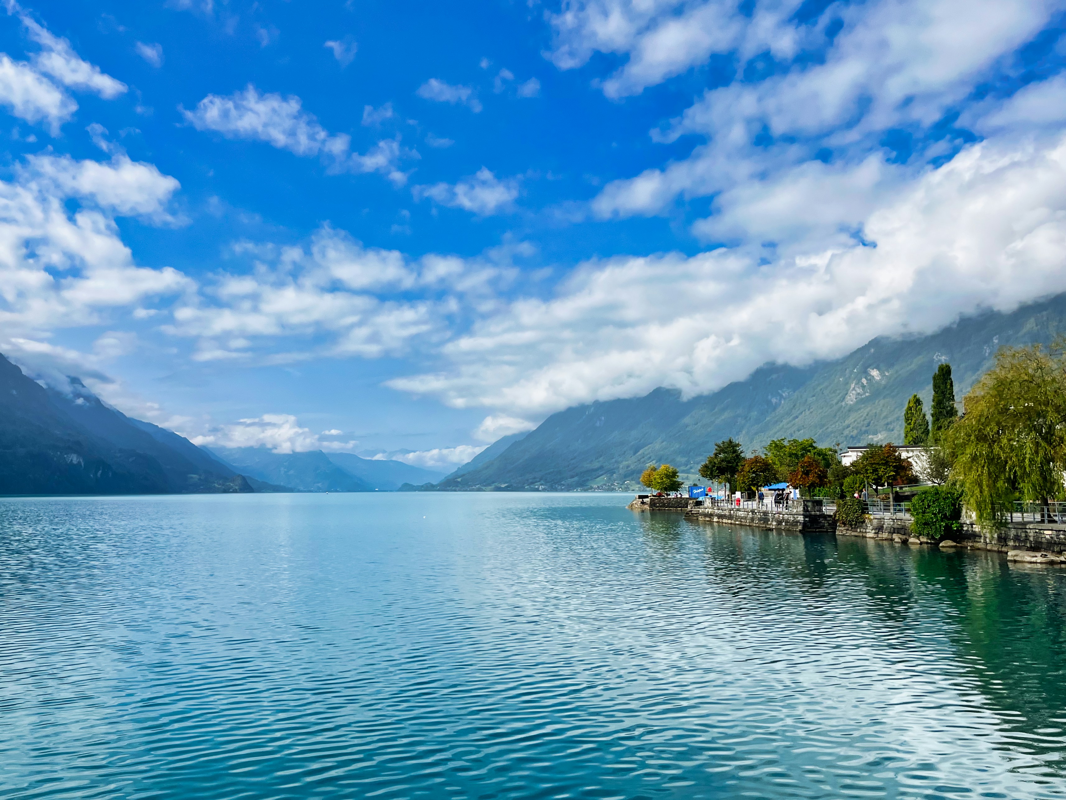 Photo by shiv_saxena